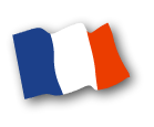 French flag icon